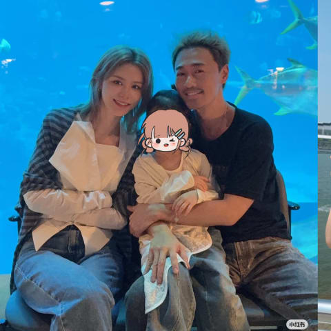 稀缺时刻！林峯独家入住新加坡海洋生态馆酒店，探寻美人鱼之谜