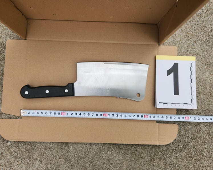 Man arrested for allegedly attacking elderly man with a chopper