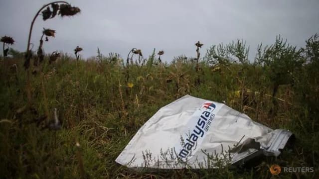 荷兰法院定11月17日 就MH17航班失事案件作出裁决
