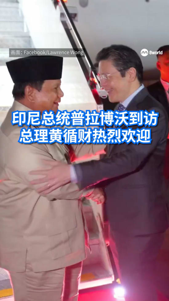 20250615_prabowo_subianto_lawrence_wong_video_01
