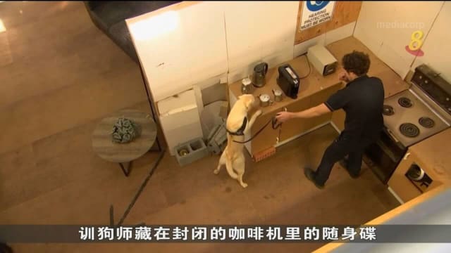堪培拉九只精英警犬 擅长寻获关键证据