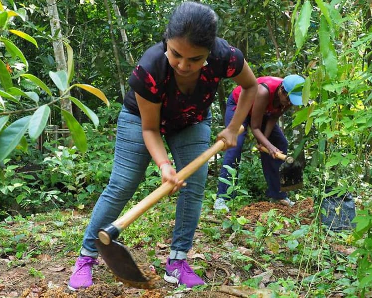 Native species, community engagement: Why there's more to planting trees than digging and watering