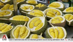 More ad-hoc sellers popping up online ahead of durian harvest 