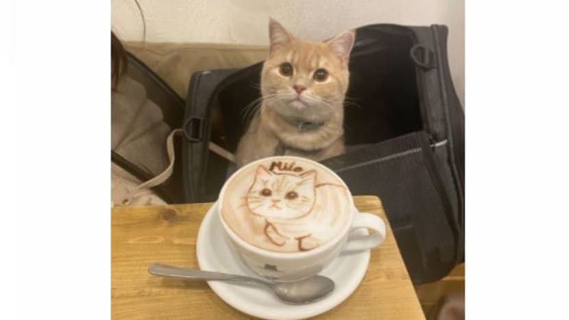 Gambar Pilihan Hari Ini