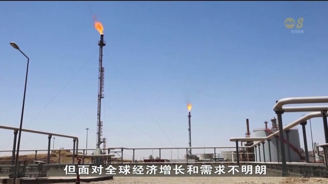 石油输出国组织和盟友 就产油政策进行展开讨论