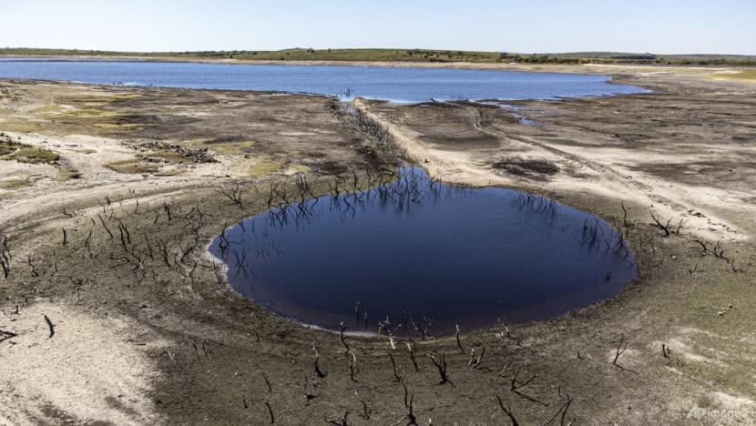  UK isytihar kemarau di beberapa bahagian England dek gelombang haba 