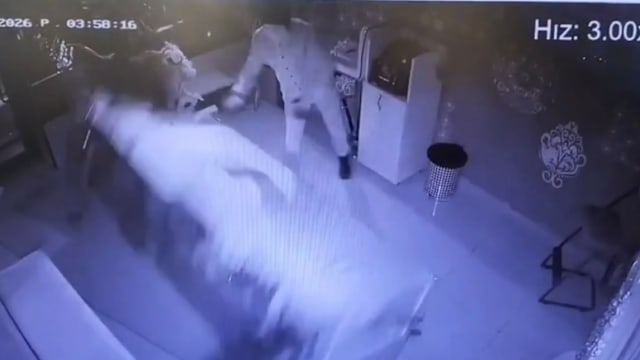 土耳其窃贼开叉车破门抢金饰 骑驴逃走终落网