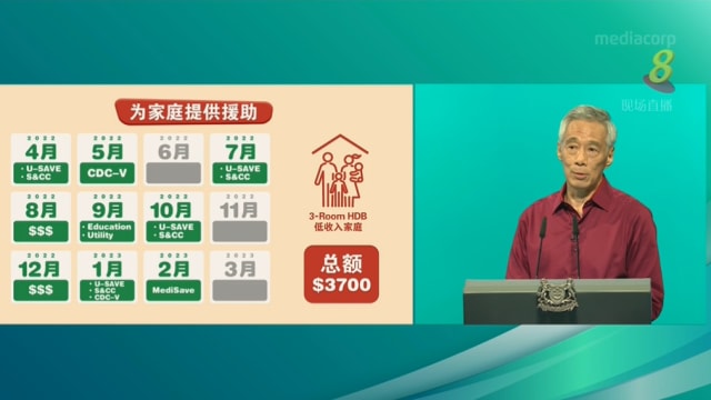 政府可给这么多援助 为何不能延后调高消费税？