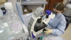 Related article image