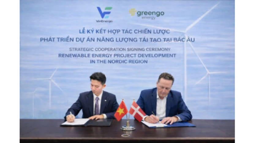 VinEnergo Announces Global Strategy, Deploys First 10 GW International Renewable Energy Portfolio
