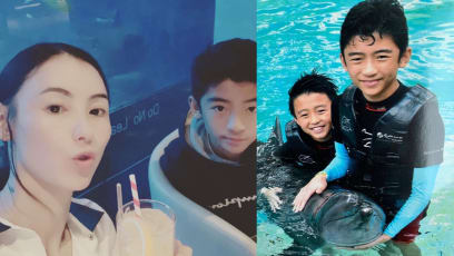 Netizens Can’t Get Over How Much Cecilia Cheung And Nicholas Tse’s Son Looks Like Dad
