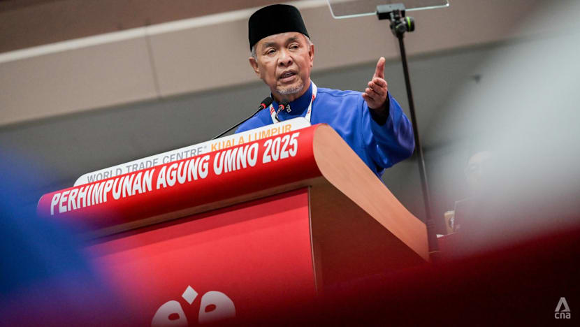 ‘For the sake of the Malays and Islam’: UMNO president pitches ‘grand collaboration’ of political parties
