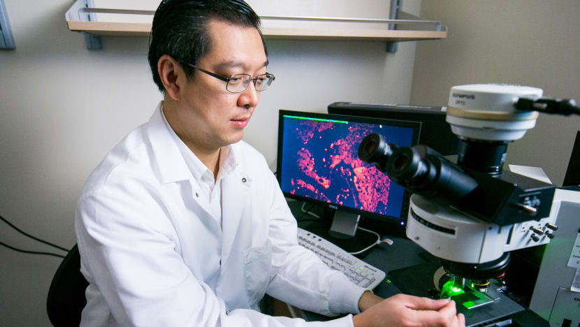 New NUH study to test stem cells as treatment for liver disease