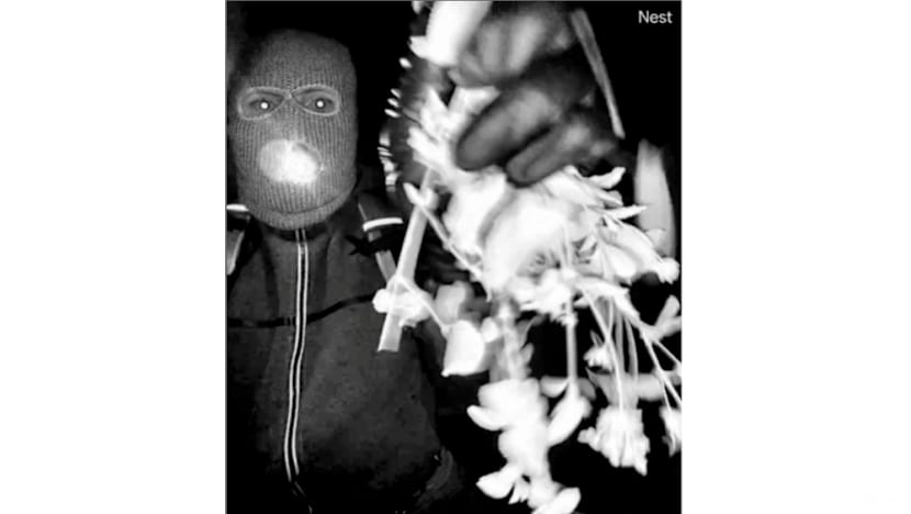 FBI: DNA recovered from glove near Guthrie home that appears to match suspect's glove