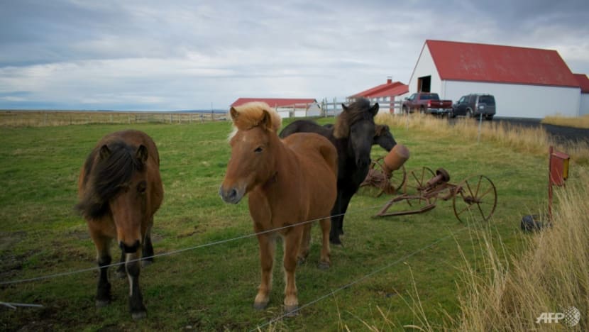 Turning carbon dioxide into stone: Inside Iceland’s innovative push toward sustainability