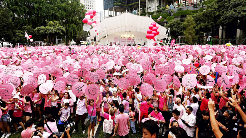 Government 'considering best way forward' on Section 377A while respecting different viewpoints: Shanmugam