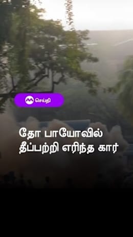 தோ பாயோவில்