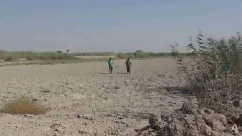 Iraq’s farmers and fishermen struggle amid drought Iraq’s farmers and fishermen struggle amid drought