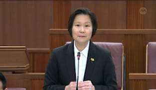 Gan Siow Huang on Regulation of Imports and Exports (Amendment) Bill