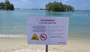 Tiada lagi buaya kelihatan di Sentosa; penggantungan aktiviti air ditarik balik