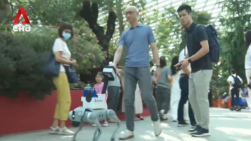 Robot guide dog among inclusive innovations to help visitors with disabilities at Gardens by the Bay