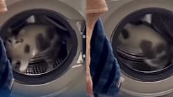 Gambar Pilihan Hari Ini