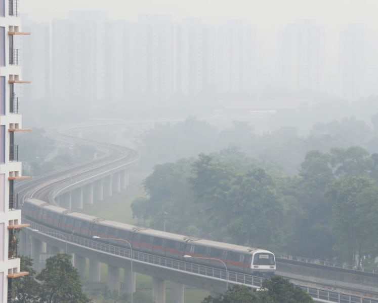 Haze in 2015 disrupted S’pore’s wildlife: Study