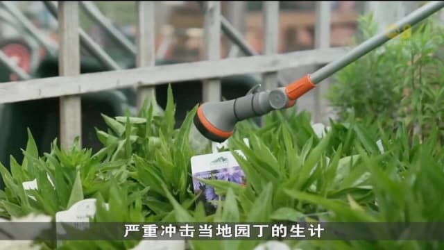 英国水务公司实施夏季以来首个禁水令