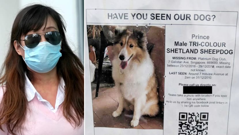 2 weeks’ jail, fine for Platinium Dogs Club owner, who cremated customer’s dog and lied about it