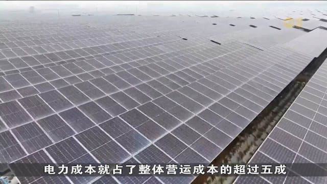 中国推动AI与能源融合发展 提升电网智能化水平