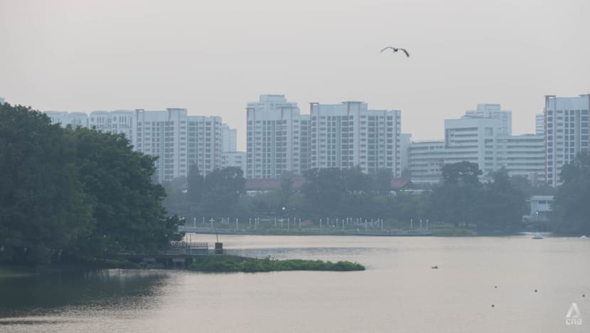 Air quality returns to moderate range in central Singapore