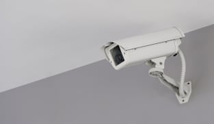 MND to consider requiring CCTV at pet grooming businesses in ongoing law review