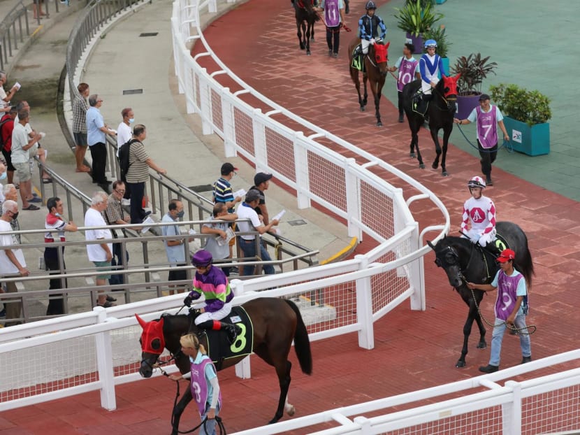 Horses walking the parade ring on June 11, 2023.