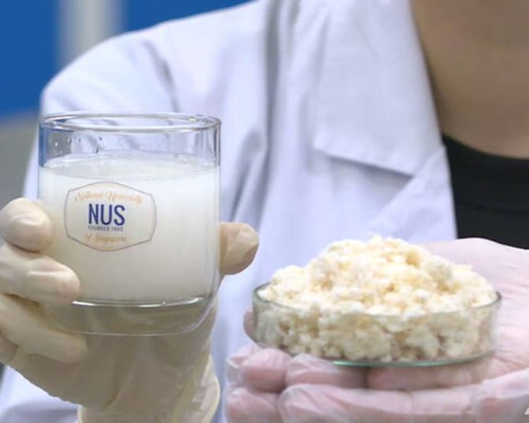 NUS scientists produce probiotic drink from soya waste