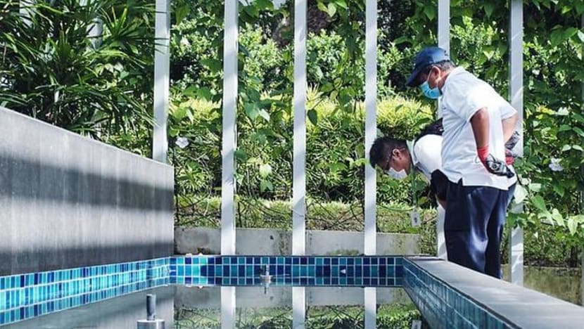 Kit cegah pembiakan nyamuk akan diagih kepada 75,000 rumah berhalaman, sedang kes denggi masih tinggi Kit cegah pembiakan nyamuk akan diagih kepada 75,000 rumah berhalaman, sedang kes denggi masih tinggi