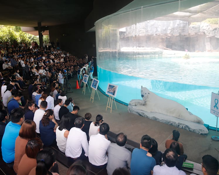 A final farewell to Inuka, the ‘Singa-polar bear’