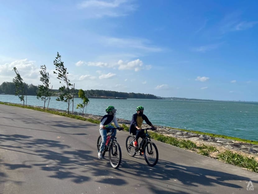 Commentary: In green Singapore, most youth don't spend much time in nature Commentary: In green Singapore, most youth don't spend much time in nature