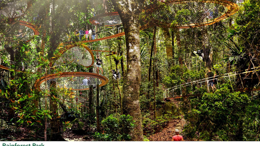 Bird park, new rainforest to be added to Mandai wildlife attractions