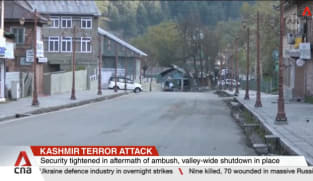 Economic implications of decades-long tensions in Kashmir