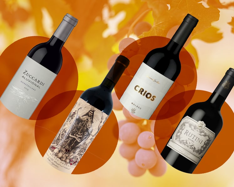 The rise of Malbec: What you need to know about Argentina’s star red wine