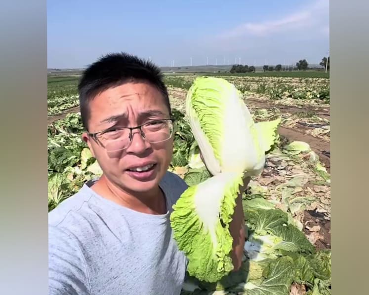 South Korea steps up checks as China probes formaldehyde-tainted cabbages