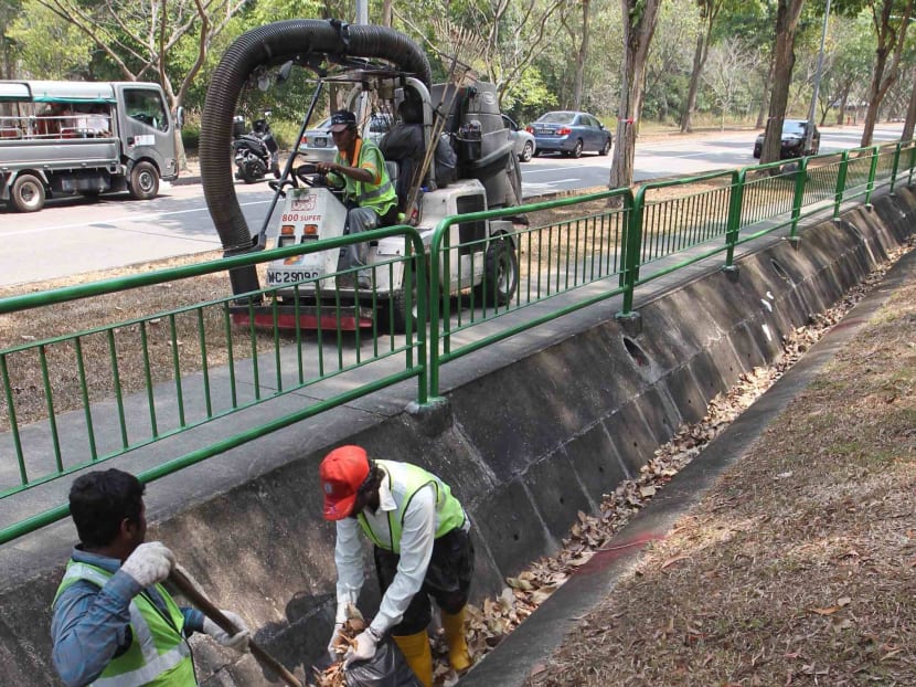 NEA steps up efforts to clear leaf litter to control mosquito population