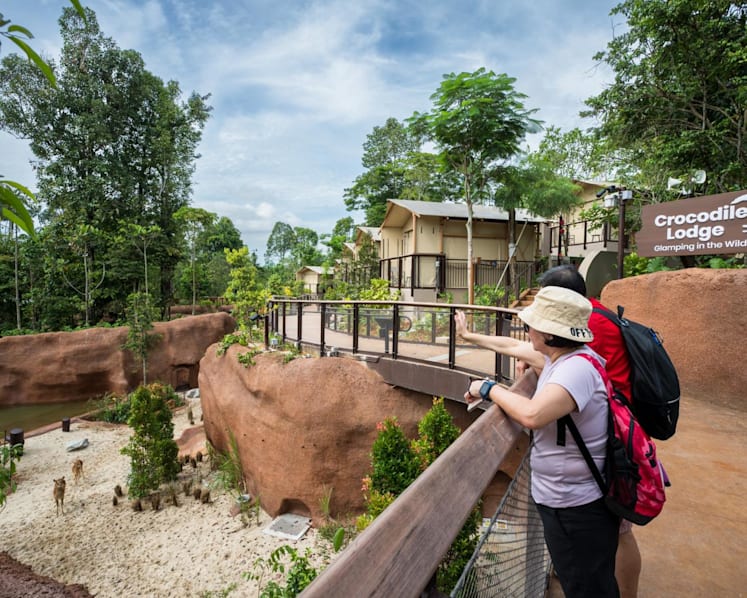 Rainforest Wild Adventure East officially opens, completing Mandai Wildlife Reserve