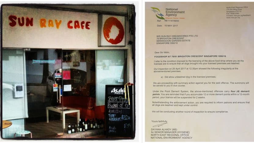 Dog fight at pet-friendly cafe stirs debate about leashing dogs at such places