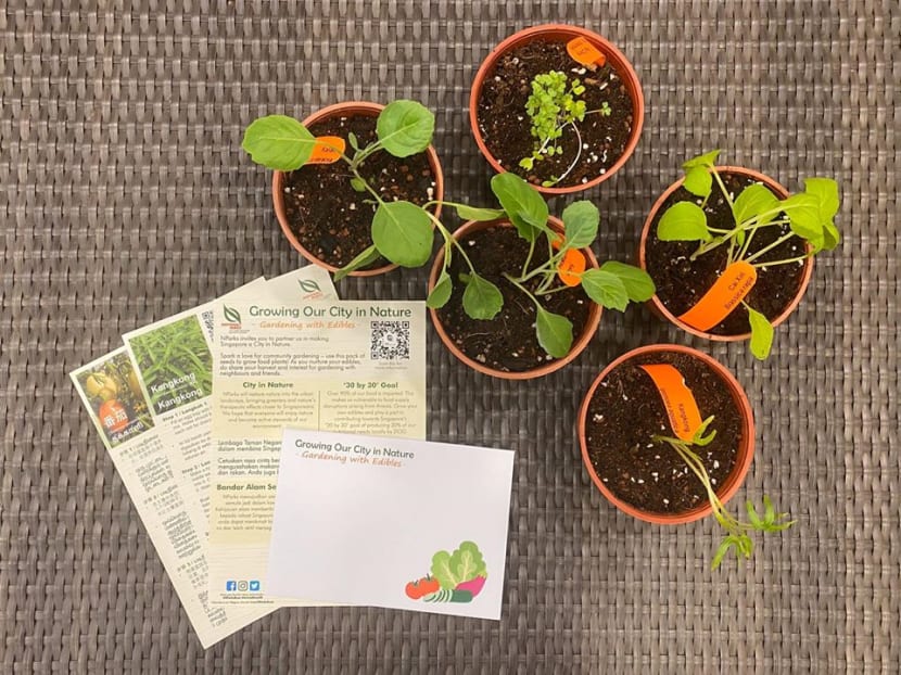 Households will be able to receive free packets of seeds to grow their own vegetables.