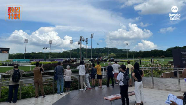 马场宣布关闭后首场赛事 观赛人数比平日多出15%