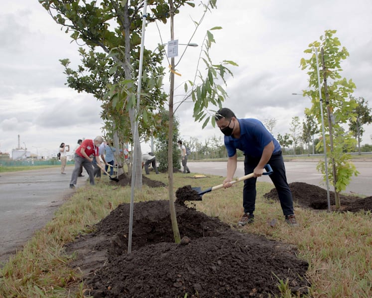 170,000 trees to be planted to ‘green’ industrial estates by 2030: Desmond Lee