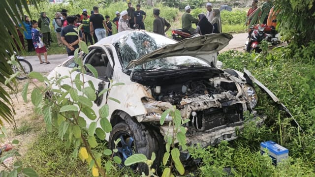 闪避过路野猴 马国婆媳抛车外死亡
