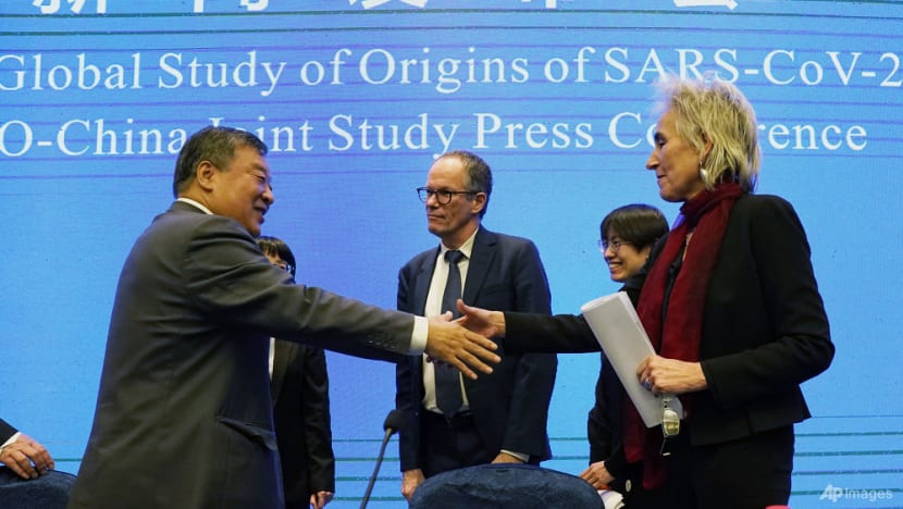 China calls COVID-19 'lab leak' theory a lie after WHO report