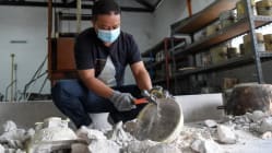 Related article image